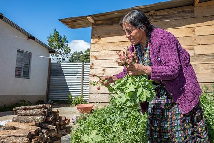 Juana picks vegetables in front of her family&#39;s Habitat home in the central highlands of Guatemala.