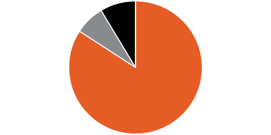 Pie chart showing that the majority of funds were used for programs, with less than a quarter split equally between general expenses and fundraising.