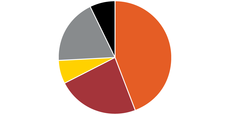 Pie chart showing that about three-fourths of funds were used for programs.
