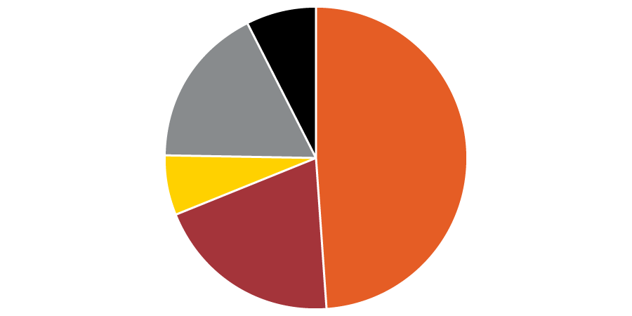 Pie chart showing the majority of funds were used on programs, with about half going to U.S. programs and a quarter going to international programs and advocacy.