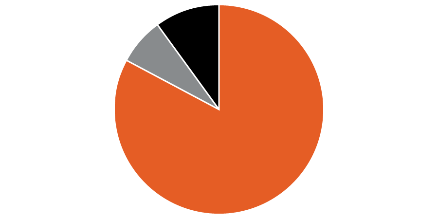 Pie chart showing that the majority of funds went to programs.