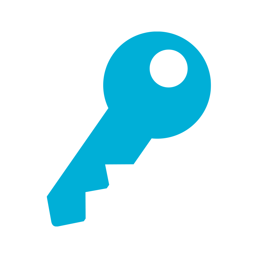 Key icon