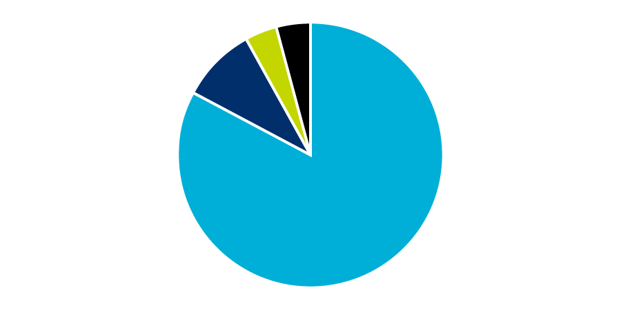 Chart showing the majority of revenue came from contributions, with less than 10% each from gifts in kind, government grants and other income.