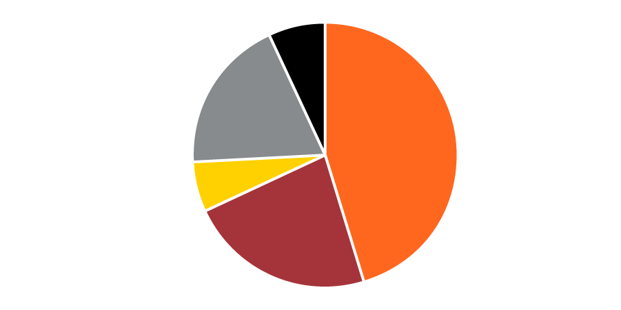Pie chart showing that about three-quarters of funds were used for programs, with 19% going to fundraising and 7% to management.