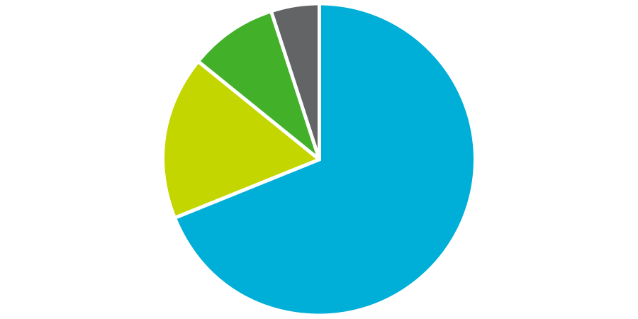 Pie chart showing that almost three-quarters of funds came from contributions and grants, and half of the remainder coming from donated products and services.