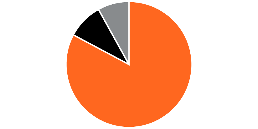 Pie chart showing the majority of funds went to programs.