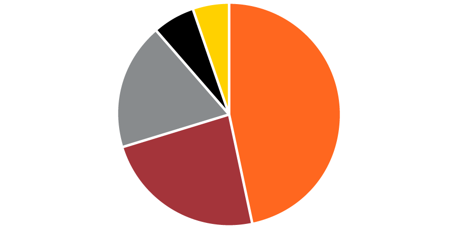 Pie chart showing that almost half of funds went to U.S. affiliate work, with half of the rest split largely between international affiliates and fundraising.