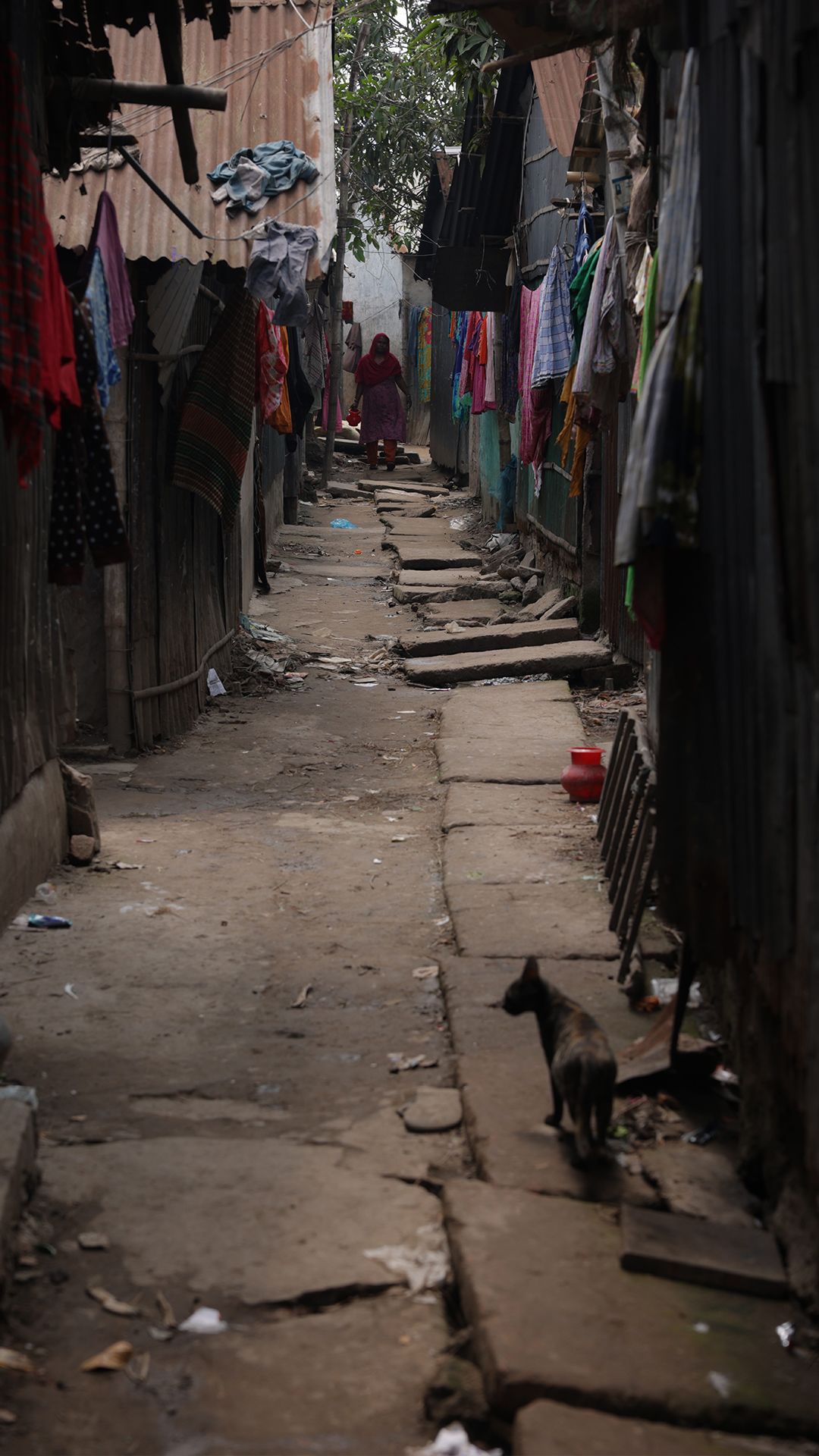A narrow, dimly lit pathway between homes in Beguntila has cracked, lifting concrete next to dusty ground. A small cat in the foreground looks towards a woman at the mouth of the alley.