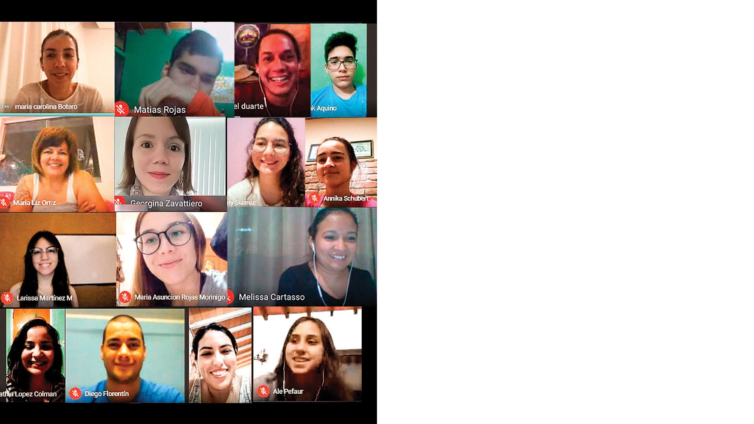 Screenshot of a virtual meeting with volunteers.