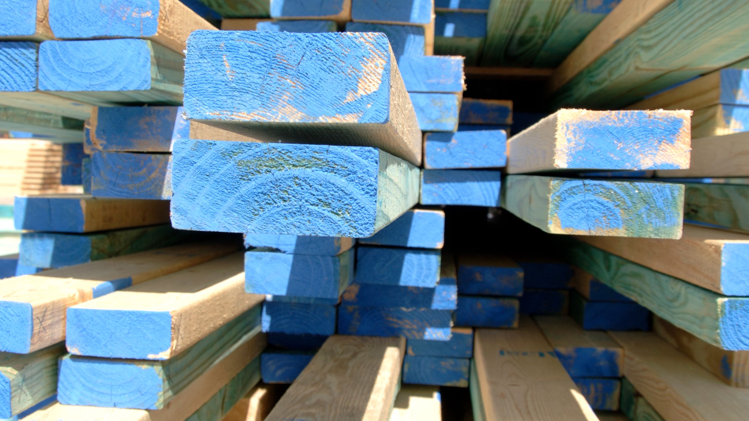 A stack of wood two-by-fours with the ends painted bright blue.