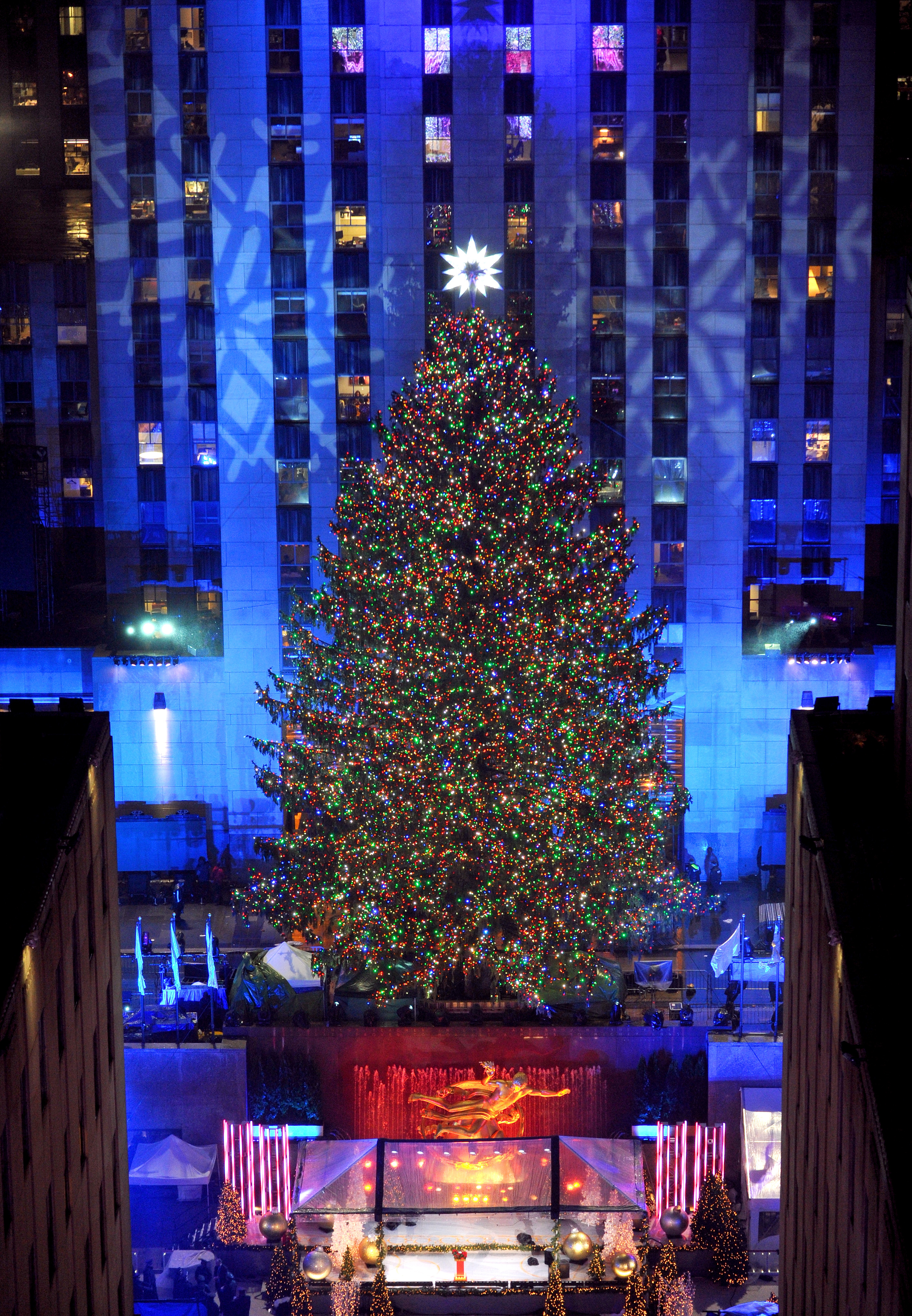 Rockefeller Center Christmas Tree takes on new life with Habitat for Humanity in new year ...