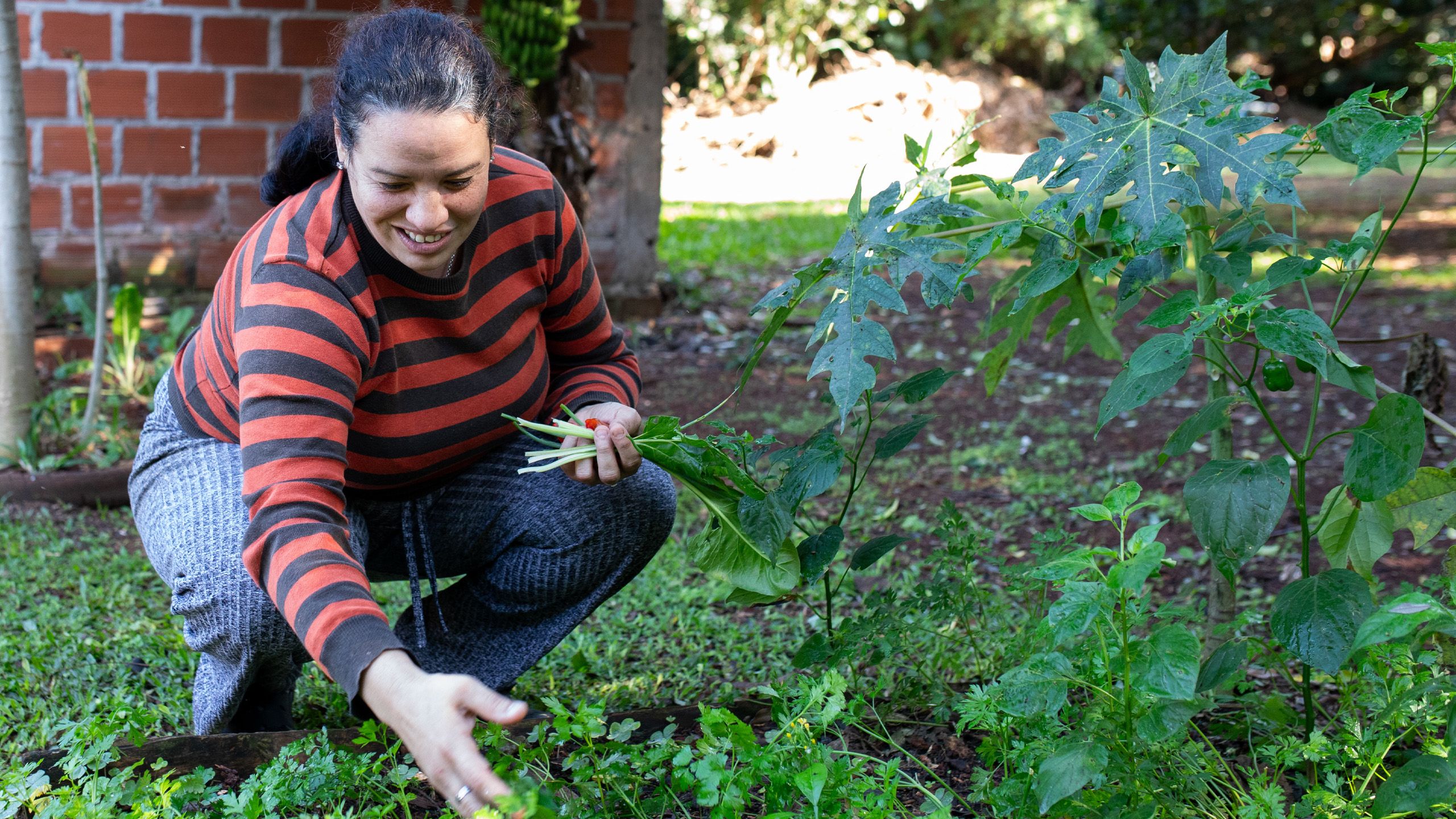 Alejandra squatting in her backyard garden with vegetation in one hand and gathering more from the other.