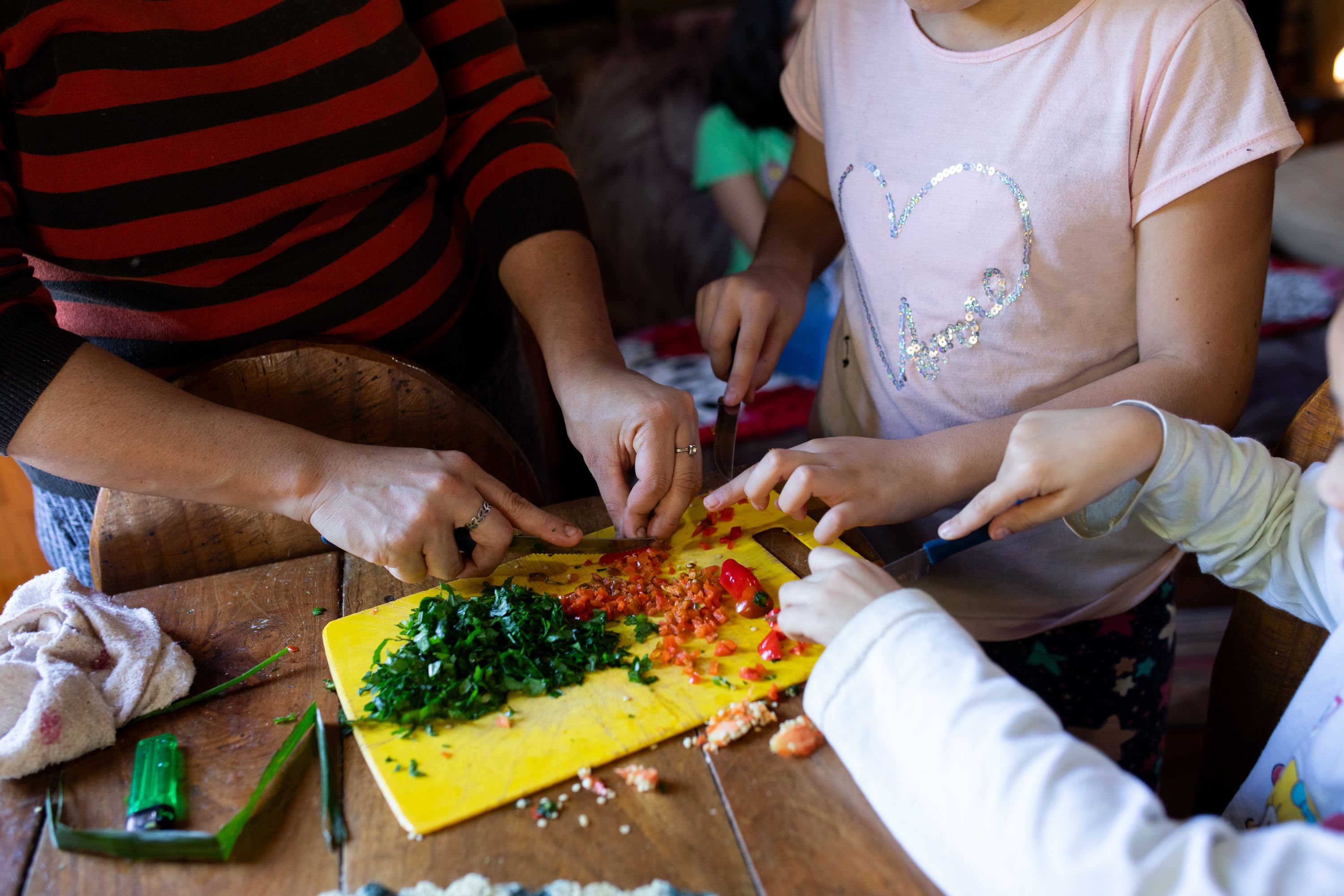 A close-up photo of Alejandra and her daughters' hands as they work together to chop up the produce they collected from their backyard garden.