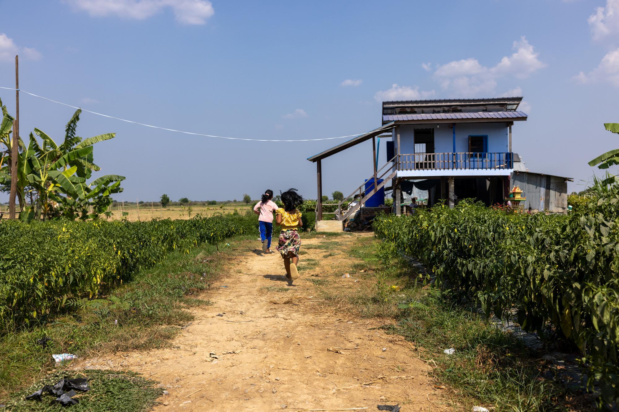 Two girls run away from the camera along a dirt road through a lush, green field, toward their blue elevated house. Yellow and green fields are visible in the distance.