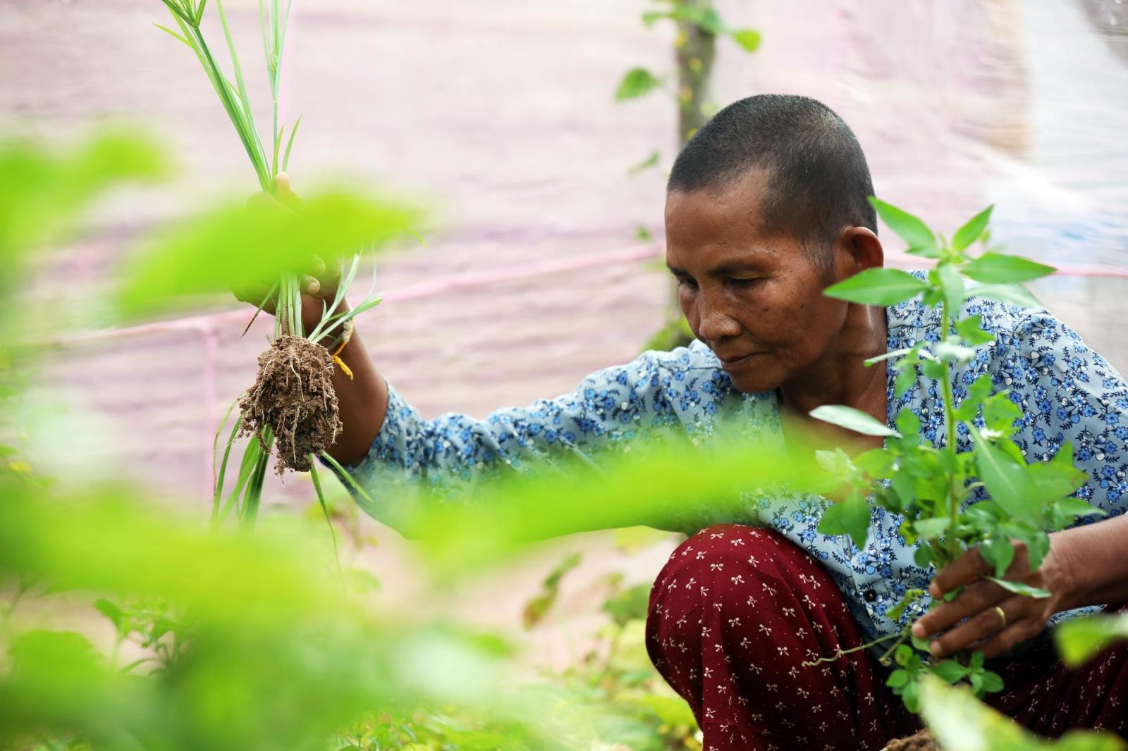 Lem works in her home garden in Siem Reap, Cambodia.
