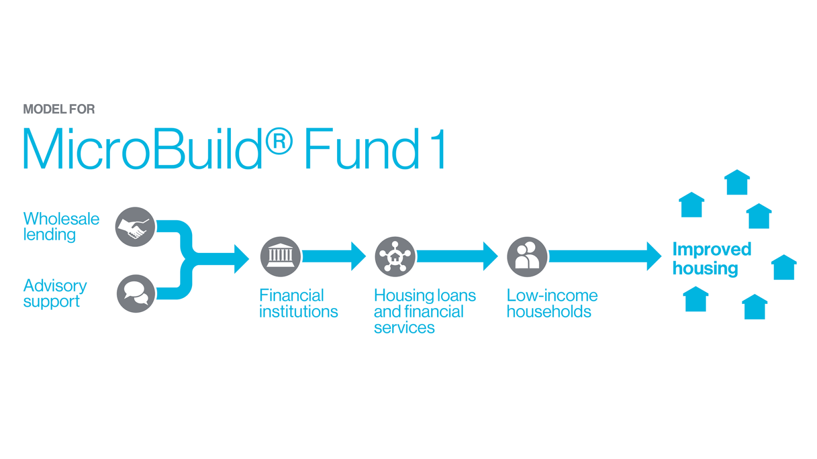 An illustrated image of the MicroBuild1 Fund model.