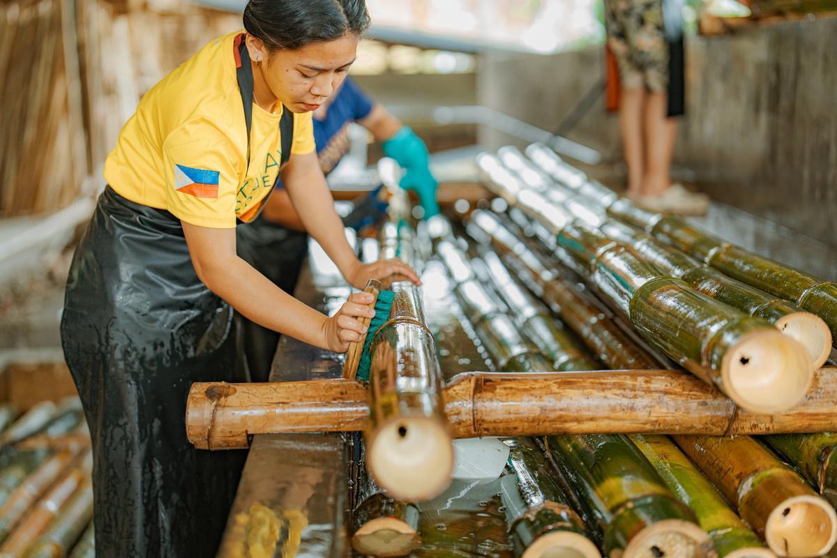 Woman in a yellow shirt and black apron cleaning bamboo. 