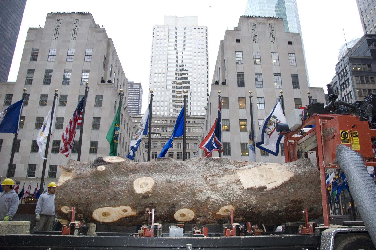 Every year since 2007, lumber from the Rockefeller Center Christmas Tree has been donated to Habitat for Humanity for use in the construction of Habitat homes. In 2008, lumber from the 84-foot tall Norway Spruce Rockefeller Center Christmas Tree was used in Habitat houses in the Gulf Coast as well as in New York, India and Brazil.