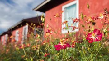 House with flowers, philippines