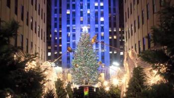 Rockefeller Center Christmas tree, From shade to shelter, Habitat for Humanity