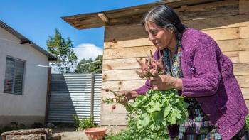 Homeowner garden Guatemala