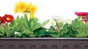 Adding beauty to Habitat homes