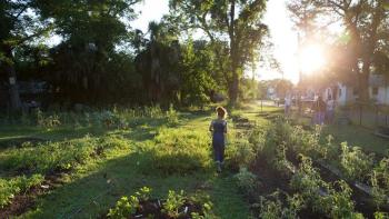 Community garden, the future of neighborhood revitalization
