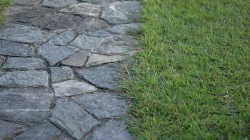Grass stone path