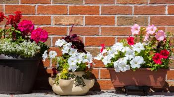 Flower pots sit in front of a brick wall.