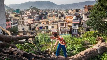 Photo: a boy balancing on a tree, slum area in the background