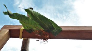 Mango leaves tied to a door post in Sri Lanka signalled the auspicious start to construction.