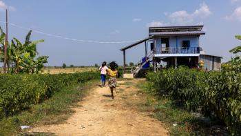 Two kids running toward a small, blue house surrounded by grassy fields.