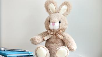 DoorieBunny - HFHI notebooks