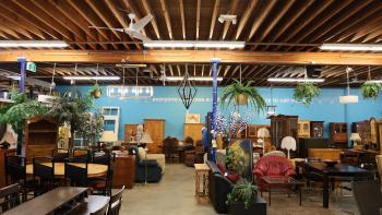 A Habitat ReStore packed full of furniture including couches, dining tables, and chairs in a room with a bright blue wall and exposed beams.