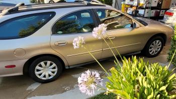 Old station wagon donation.