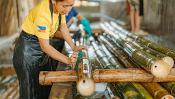 Woman in a yellow shirt and black apron cleaning bamboo. 