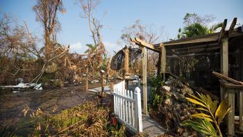 Habitat for Humanity at COP27