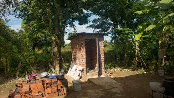 A structure of brick stands in a forest.