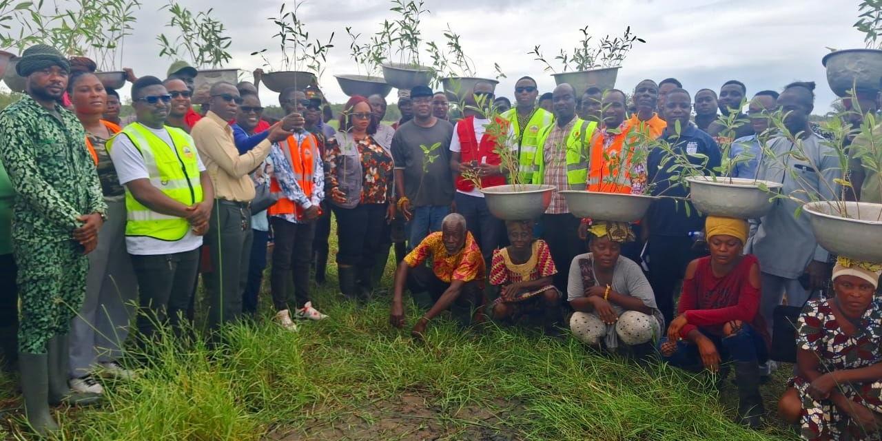Image source - https://www.habitat.org/emea/stories/restoring-mangroves-opening-door-coastal-resilience-cote-divoire-and-ghana