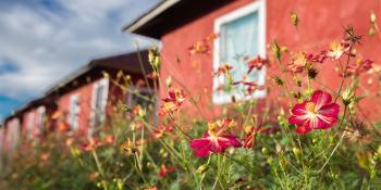 red house with flowers out front