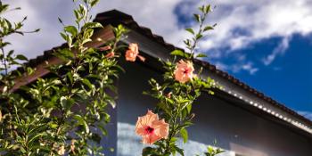 House roof line with flowers, Philippines