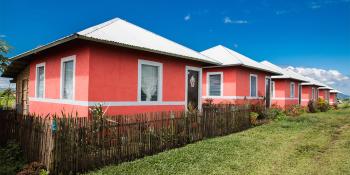 Row of pink Habitat houses in the Philippines