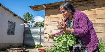 Habitat homeowner in garden, Guatemala