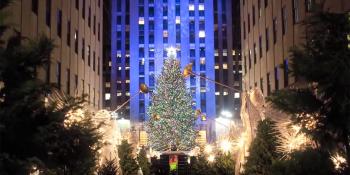 Rockefeller Center Christmas tree video, From shade to shelter, Habitat for Humanity