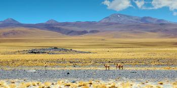 Argentina volunteer trip