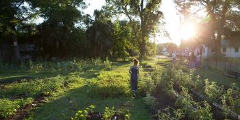 Community garden, Habitat for Humanity's role in neighborhood revitalization