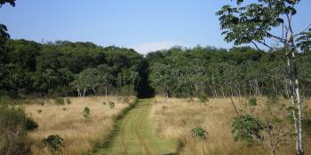 Paraguay volunteer trip