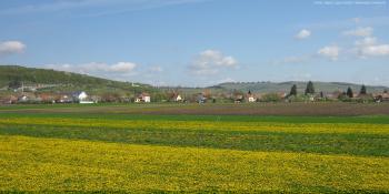 Romania volunteer trip