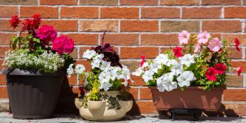 Flower pots sit in front of a brick wall.