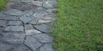 Grass stone path.
